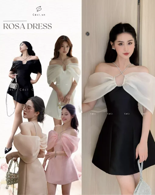 ROSA-DRESS13TFANX