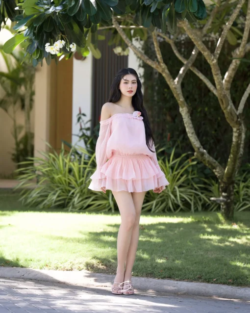 SWAN SET 659 - Ảnh 3